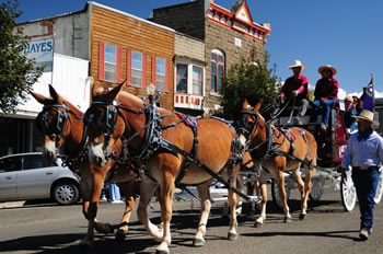Hells Canyon Mule Days